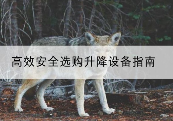 思茅升降货梯厂家推荐-*安全选购升降设备指南