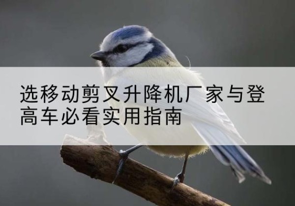 思茅电动升降机厂家-选移动剪叉升降机厂家与登高车必看实用指南
