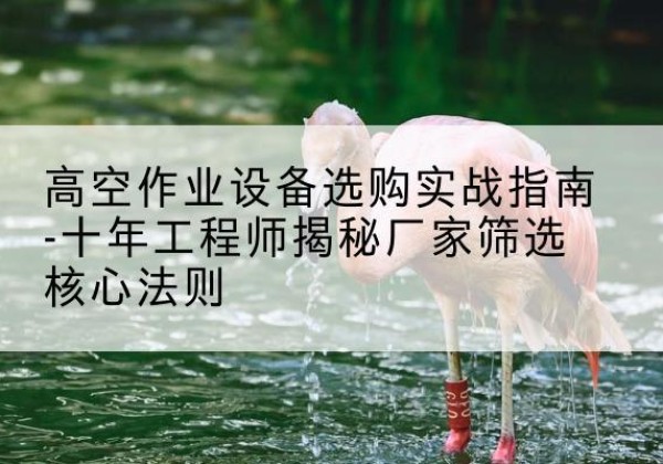 思茅剪叉式升降机厂家-高空作业设备选购实战指南-十年工程师揭秘厂家筛选核心法则