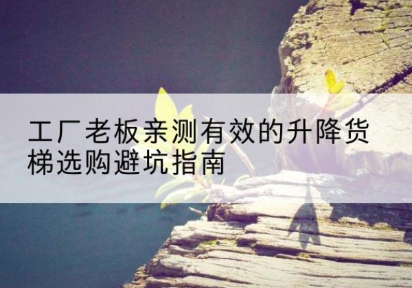 思茅升降货梯怎么选-工厂老板亲测有效的升降货梯选购避坑指南